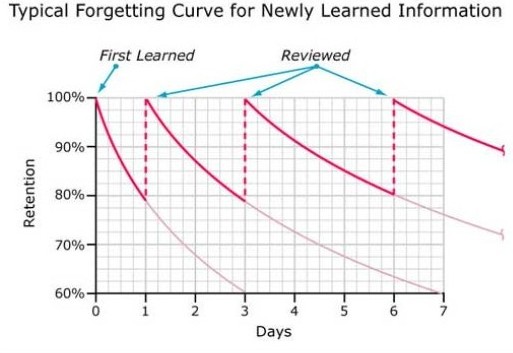 Forgetting curve