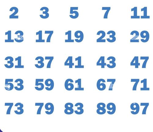 prime numbers